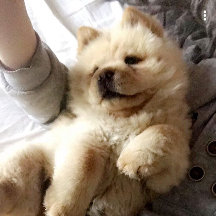 Erik Eriksson - Tiktok Profile Picture of Erik Eriksson (@eerikerikssonn) on Tiktok