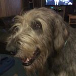 Profile Picture of Robyn Wilkins (@robyn.wilkins.77) on Instagram