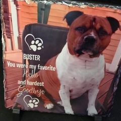 Sharon Timmins235 - Tiktok Profile Picture of Sharon Timmins235 (@user8732069127220) on Tiktok