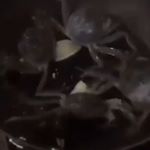 Profile Picture of Brandon Burt (@brandonburt47) on Instagram