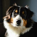 Profile Picture of Porter (@porter__pants) on Instagram