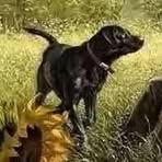 Profile Picture of Carlos Sanches (@carlos.sanches.82776) on Facebook