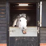 Profile Picture of Sonya Farrell (@sonya.farrell.393) on Instagram