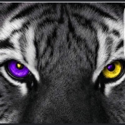 Profile Picture of James Bellanger (@BellangerJames) on Twitter