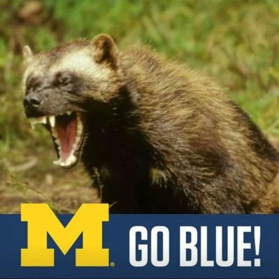 Profile Picture of Chad Elam (@MuffThis) on Twitter