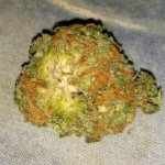 Profile Picture of corynunez (@corynunez) on Instagram