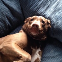 Kenny Moser - Quora Profile Picture of Kenny Moser (@kenny-moser-1) on Quora