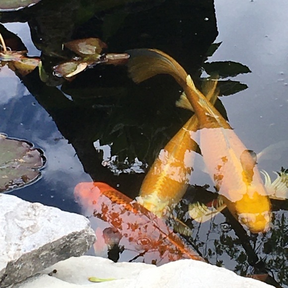 Profile Picture of Tania Casperson (@tcasperad) on Poshmark