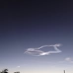 Profile Picture of Lillie Fredette (@Lillie-Fredette) on Facebook