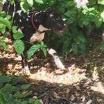 Profile Picture of Darren Haunga (@darrenhaunga) on Instagram