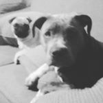 Profile Picture of dacorra wonnenberg (@dacorrawonnenberg) on Instagram