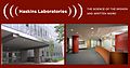 Profile Picture of Haskins Laboratories - Wikipediaon Wikipedia
