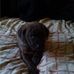 Profile Picture of Bruce Chadwick (@Bruce-Chadwick) on Facebook