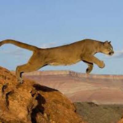 Profile Picture of Aron Escobar (@aronescobar5) on Twitter