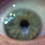 Profile Picture of Hank King (@blackeyespecialist88) on Flickr