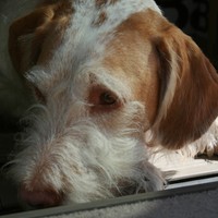 Profile Picture of Jeff Gannon (@jeff-gannon-4) on Quora