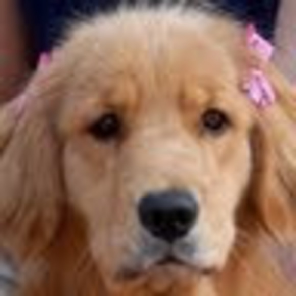 Kimberly Bloom - Poshmark Profile Picture of Kimberly Bloom (@charpadovano201) on Poshmark