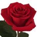 Profile Picture of ZORAIDA ARROYO (@zrd21341976) on Pinterest