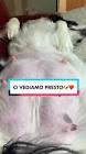 Profile Picture of   Ci vediamo presto❤️🐶... (@grazoe) on Tiktok