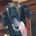 Profile Picture of Richard O'Donnell (@richard.odonnell.92) on Facebook