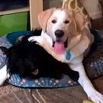 Profile Picture of Gretchen Jansen (@gretchenjansen) on Instagram