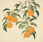 Profile Picture of Serene Strength (@mark.savard.94) on Facebook