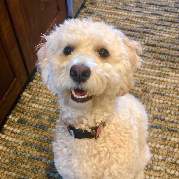 Profile Picture of Katey Rieckers (@kateyr9) on Poshmark