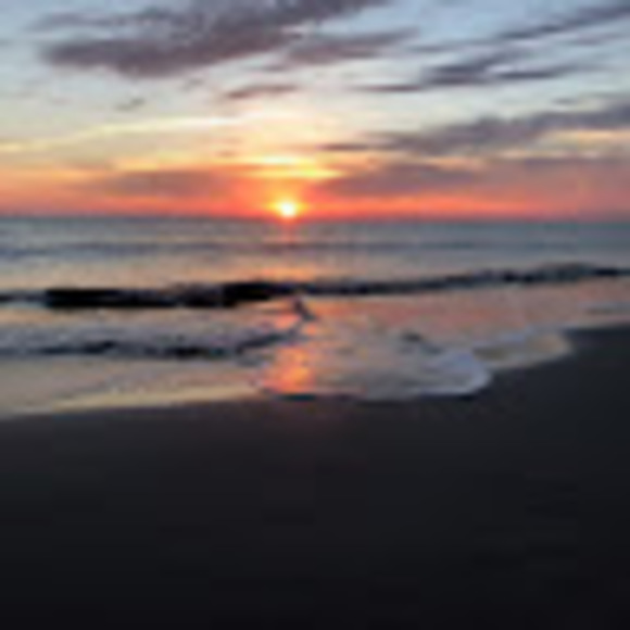 Profile Picture of James Moroney (@james223111) on Poshmark