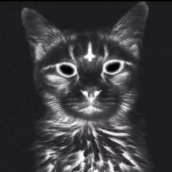 Profile Picture of Troy Perez (@pereztroy99) on Poshmark