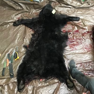 Matt Calladine - Twitter Profile Picture of Matt Calladine (@calladine_matt) on Twitter