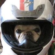 Profile Picture of Aaron Mcclure (@aaron_mcclure) on Pinterest
