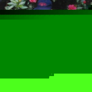 Profile Picture of Luke Mclennan (@goofy_is_sxc) on Myspace