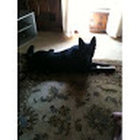 Profile Picture of Kim Boyette (@kim-boyette-4) on Quora