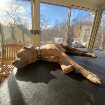 Profile Picture of Michael Tine (@michaeltine3) on Twitter