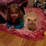 Profile Picture of Cody Brumfield (@brumfield.cody) on Instagram