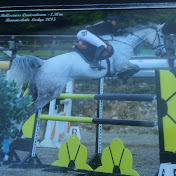 Profile Picture of Tori Dunn (@toridunn1391) on Youtube