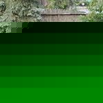 Profile Picture of Pete Sufficool (@pete.sufficool) on Myspace