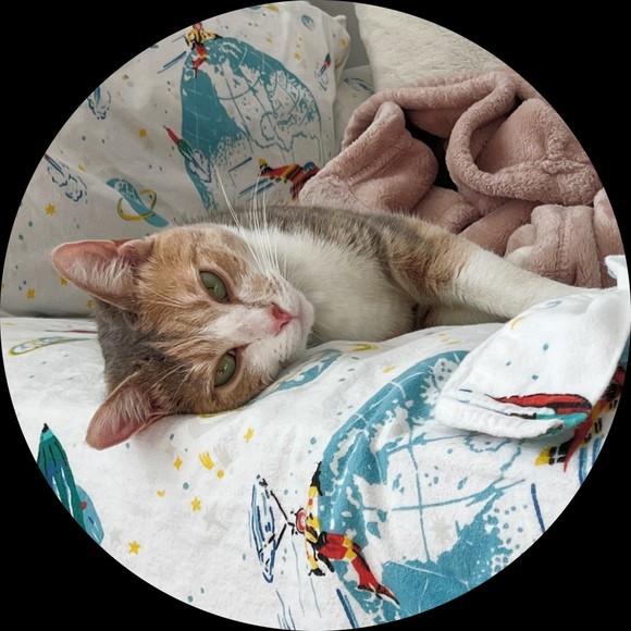 Profile Picture of Kate Lim (@kate_lim) on Poshmark