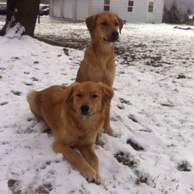 Profile Picture of Jamie Serafin (@Jamie3mt) on Twitter