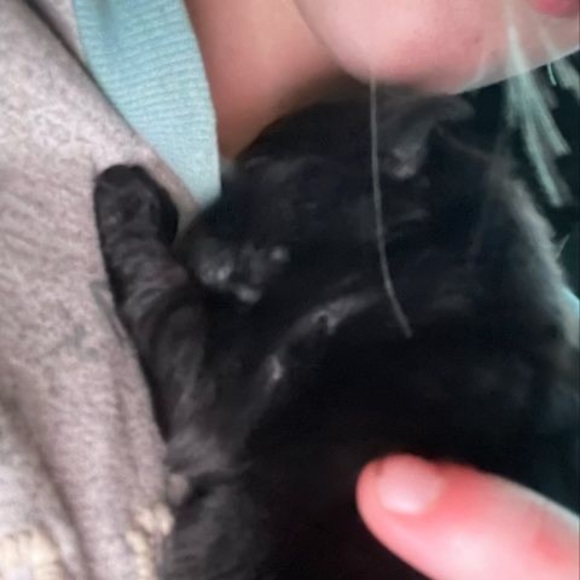 Profile Picture of Gabriella Rieckers (@grieckers) on Poshmark