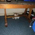 Profile Picture of Henry Hollings (@henry.hollings.7) on Facebook