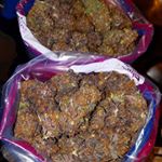 Profile Picture of john lazos (@sdfxbf) on Instagram