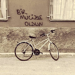 Profile Picture of Shadan Al Janabi (@shadanaljanabi) on Flickr