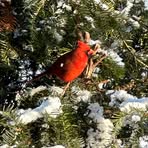 Profile Picture of Rochelle Keil (@rochelle.keil) on Facebook