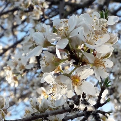 Profile Picture of Marina Oprea (@OpreaMarina) on Twitter