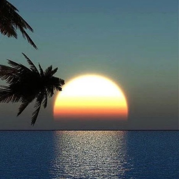 Profile Picture of David Melara (@davidmelara) on Poshmark