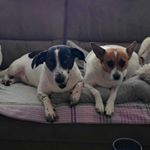 Profile Picture of Werner Brösel (@michael_jentsch) on Instagram