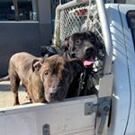 Profile Picture of Matt Metcalfe (@matt_metcalfe_gezz) on Instagram