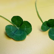 Profile Picture of Clint Calhoun (@donnaclint) on Youtube