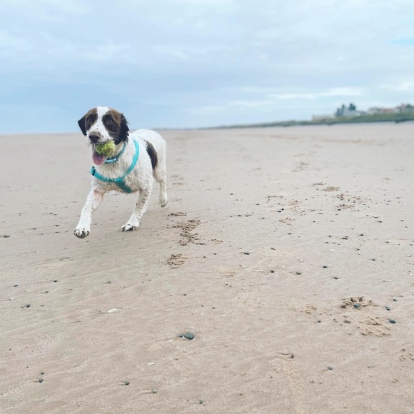 Profile Picture of Lisa Walling (@zymoney51) on Poshmark